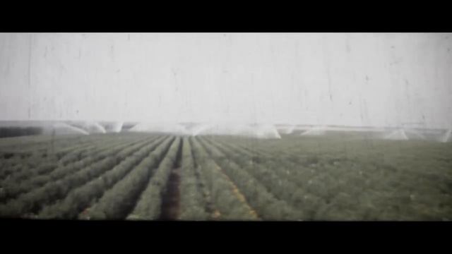 МССР 1979 Первомайск смотреть онлайн