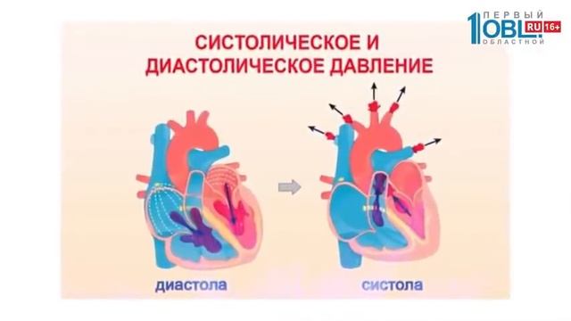 Нижний показатель давления: где норма смотреть онлайн