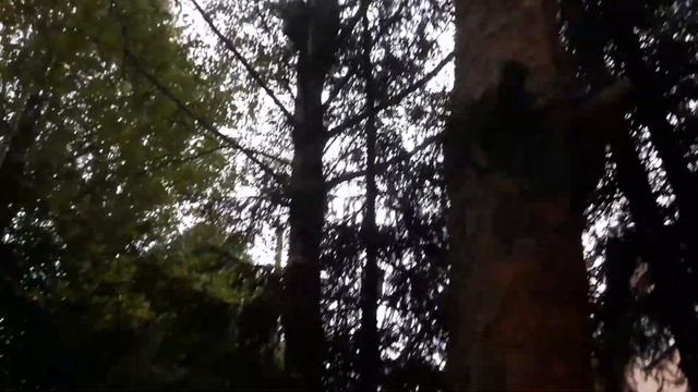 Ландшафт без этих дизайнеров. смотреть онлайн