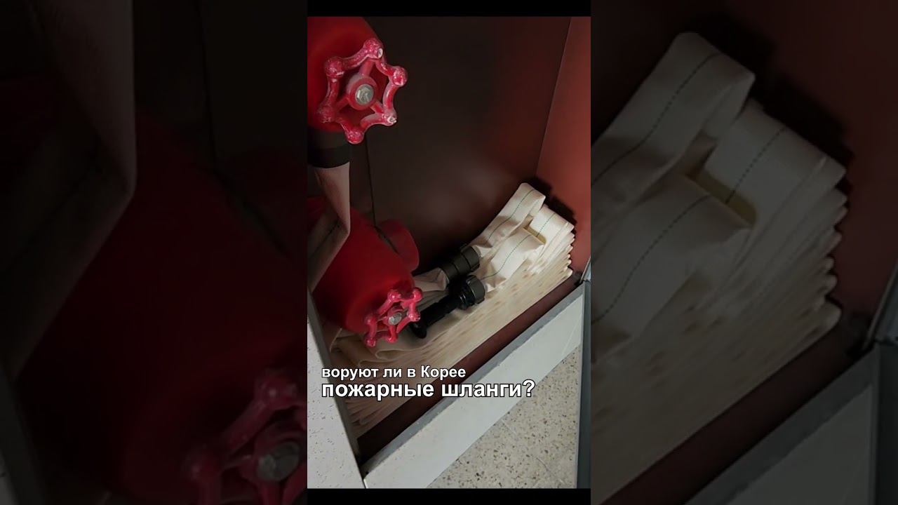 Воруют ли в Корее пожарные шланги в подъездах? смотреть онлайн