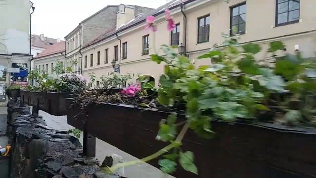 Вильнюс 2020 смотреть онлайн