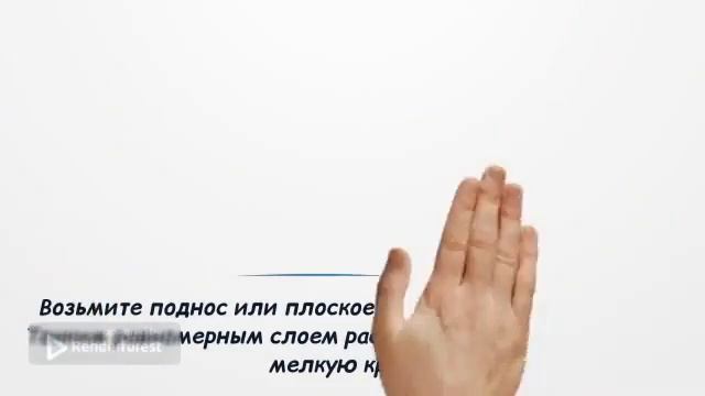 Сенсорное развитие. Игры с детьми на кухне. Подготовила педагог-психолог Подкатилова Е.С. смотреть онлайн