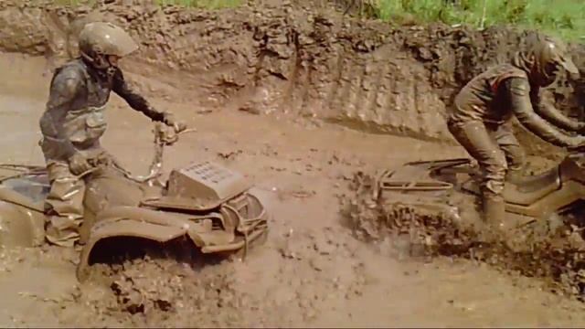 Квадрофест 2016 остров приключений смотреть онлайн