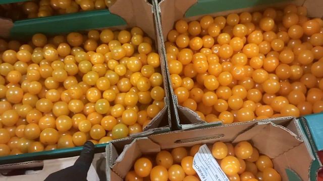 Цена на Огурци Помидори и фрукти, Фуд - Сити 🥒🥒🍄🍅🍅🍇🍇🍆🍆 смотреть онлайн