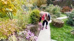 Обзор маминого сада. Осень.