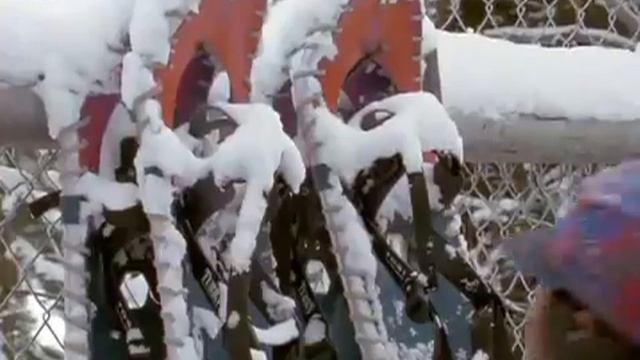 Жизнь волков смотреть онлайн