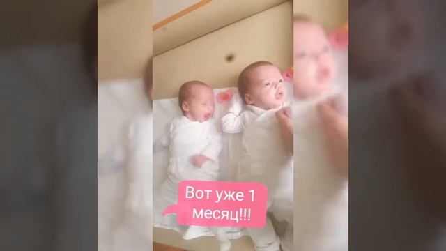 Наша двойня. Серия 1. Первые 2 месяца близнецов. смотреть онлайн