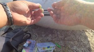 Рыбалка на отводной поводок Воронеж р.Дон Шилово