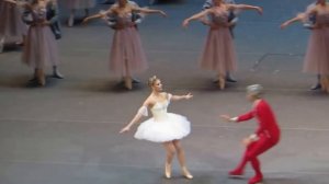 Анжелина ВОРОНЦОВА и Николай ЦИСКАРИДЗЕ в балете П.И . ЧАЙКОВСКОГО "ЩЕЛКУНЧИК"