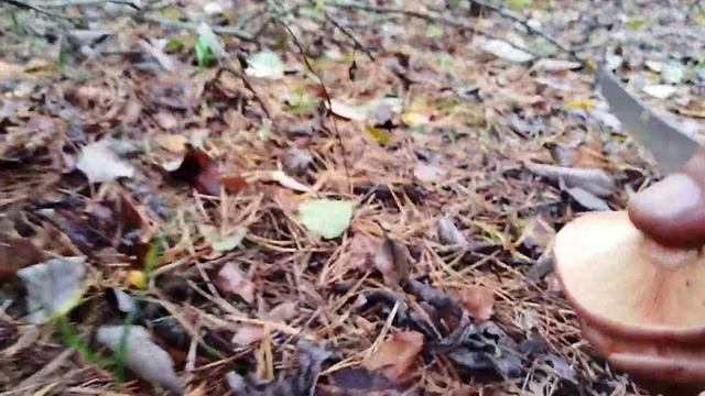 Магия времени