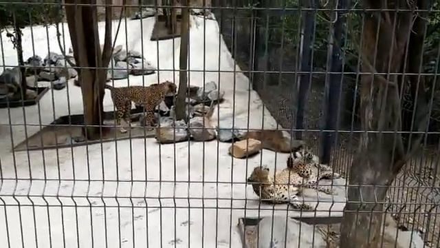 Ялта интурист 2017 смотреть онлайн