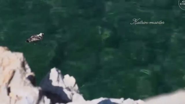 Можете ли Вы назвать самое большое пресное озеро в России? смотреть онлайн