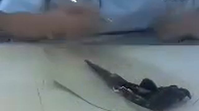 Планшетный режущий плоттер для раскроя ткани и кожи 31 смотреть онлайн