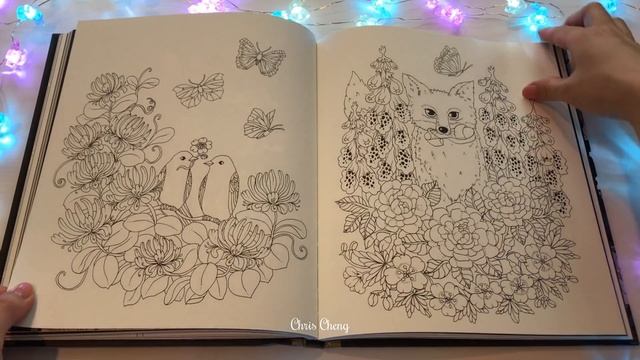 Flip Through Skymningstimman Coloring Book by Maria Trolle смотреть онлайн