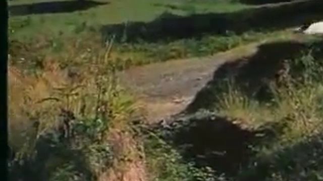 Маршо ( 3 ) смотреть онлайн