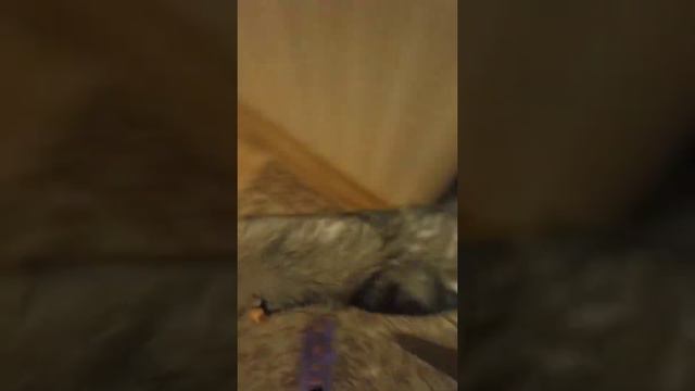 Спасатель купальщицы!