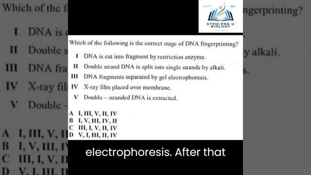 C19 BIOTECHNOLOGY OBJ EXE 3 #objective #exercise #STPM #Biology #Bio #SEM3 #S3 #form6 #F6 #t6 смотреть онлайн