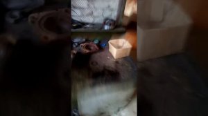 вом дисковый1221  в разобранном виде