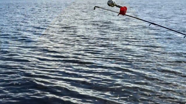 Рыбалка на Северной Двине. 11-12.06.22 смотреть онлайн