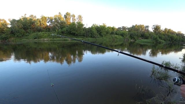 рыбалка на сома с берега - донки работали по всей рыбе! - первый сом! смотреть онлайн