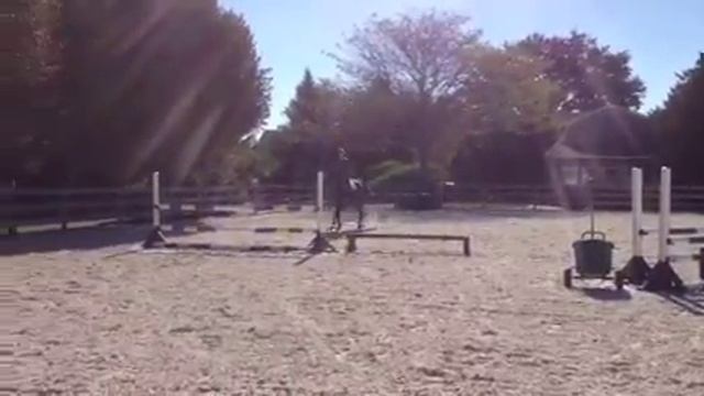 Bella & maxi смотреть онлайн