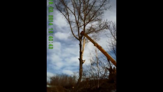 Удаление Тополя, работа авто крана смотреть онлайн