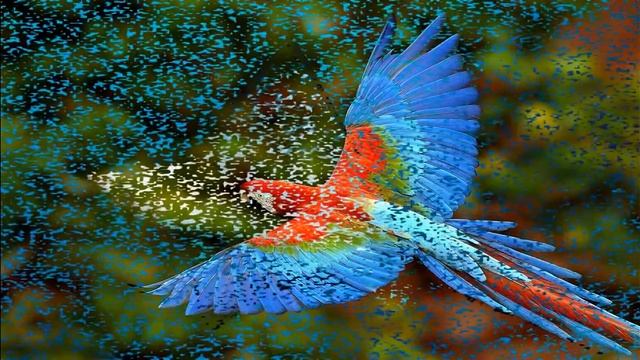 Сотворение мира (Бытие Священного Писания) New смотреть онлайн