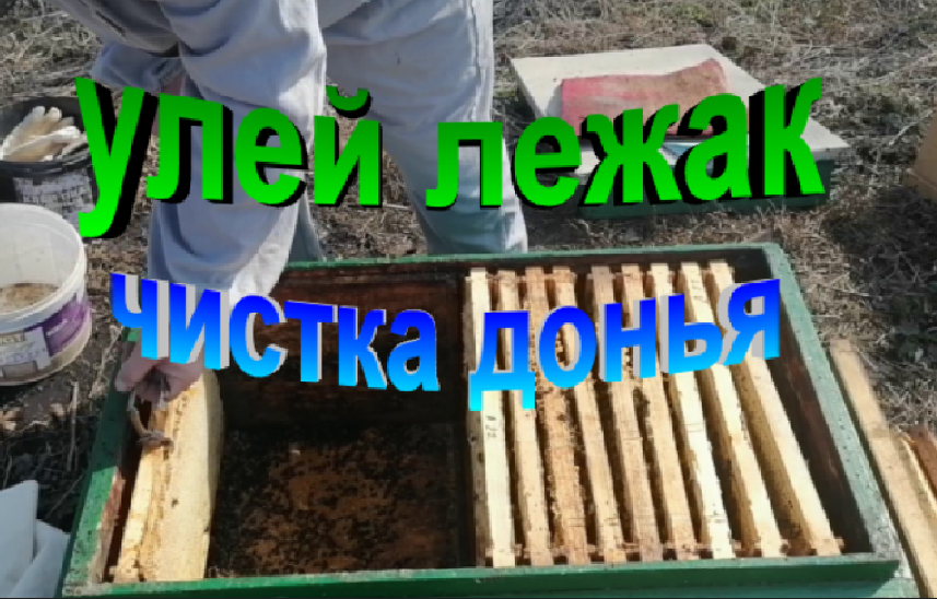 Улей лежак чистка и подкормка пчел смотреть онлайн