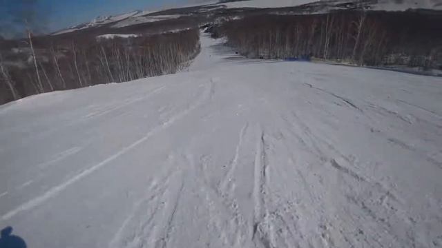 Cartoon - Why We Loose | Downhill Skiing Made by OLEG смотреть онлайн