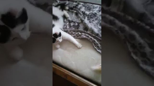 Тосян смотреть онлайн