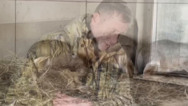 В гостях у КАХОВСКИХ ПИТОМЦЕВ! Носуха , крокодил и мары патагонские! Парк львов ТАЙГАН! смотреть онлайн