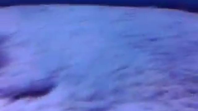 Змееподобная рыба роет нору. смотреть онлайн