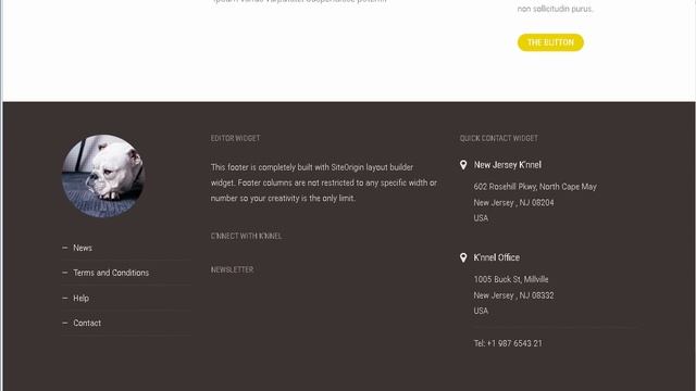 Knnel - Ultimate Dog Breeder WP Theme | Themeforest Download смотреть онлайн