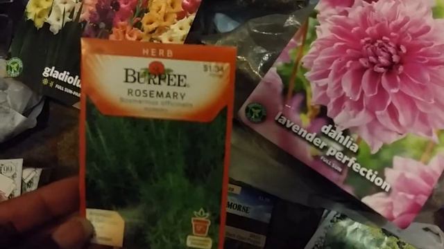 Haul: What I Ended Up Purchasing From Walmart | Domestic Garden Edition