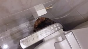 Простой ремонт электро-биде Izumi ES-WD1R. Почему биде стало само отключаться?