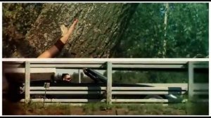 Леонид Руденко — Дестенэйшн