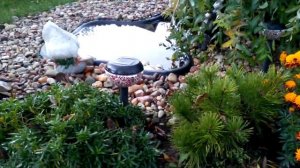 Садовый прудик своими руками. Часть 1.