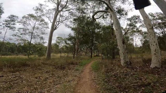 NEW TRACK AT WYLDE MTB PARK | Polygon Siskiu D7 2022 смотреть онлайн