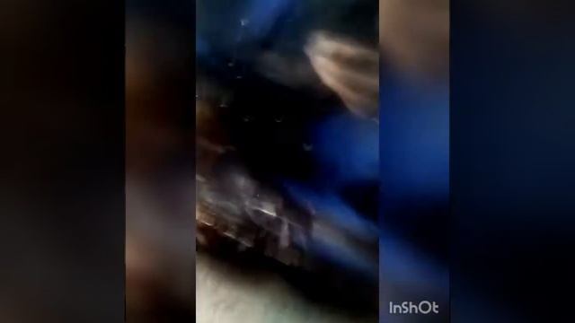 Криша форд коннект ,ланос подкрилок. смотреть онлайн