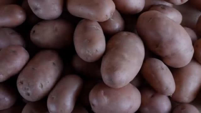 Сорт Картофеля Аврора смотреть онлайн
