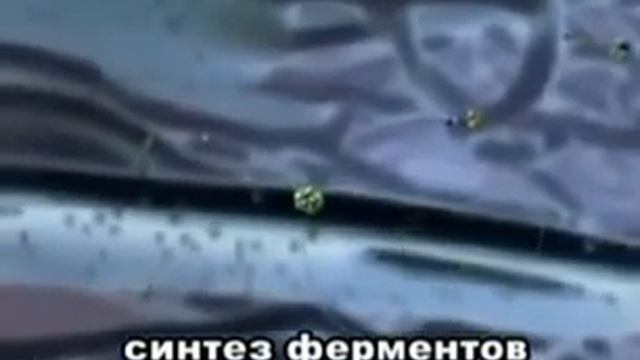 Жизнь наших клеток. Это целый мир! Космос внутри нас. смотреть онлайн