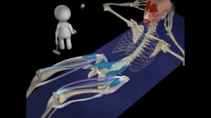 Упражнения для пресса. Ошибки при упражнении на пресс, которые разрушают позвоночник