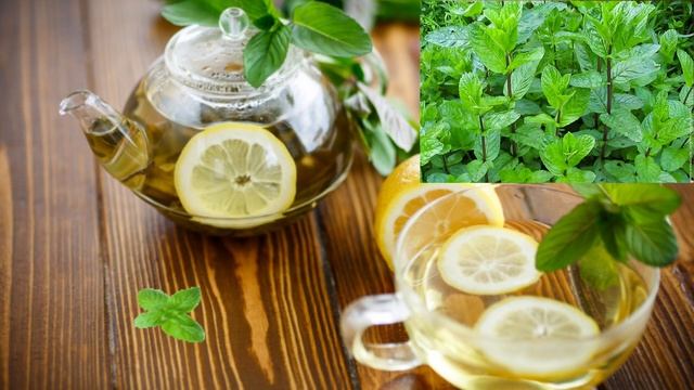 Чай с мятой: чем полезен и как заварить? смотреть онлайн