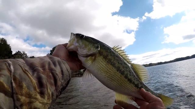 Two Bass On One Cast смотреть онлайн