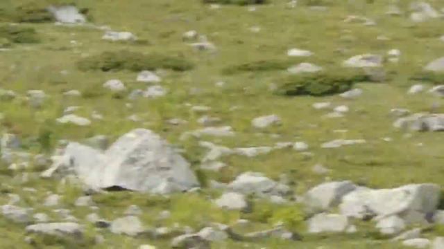 ледник Гондарай -КарачаевоЧеркесия смотреть онлайн