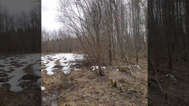 Бизнес в Карелии смотреть онлайн