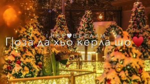 Марша да хьо керла шо/2023