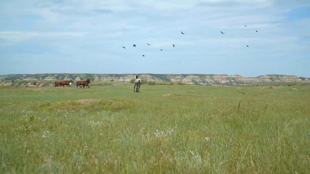 4K video - Sounds of Nature. Soulful music. Видео 4K-Звуки природы. Душевная музыка. смотреть онлайн