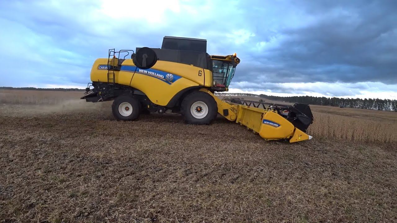 УБОРКА СОИ , МОЙ НЕ УДАЧНЫЙ ВЫЕЗД , КОМБАЙН NEW HOLLAND - ОБЗОРЧИК смотреть онлайн