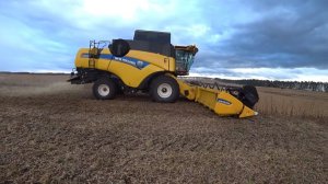 УБОРКА СОИ , МОЙ НЕ УДАЧНЫЙ ВЫЕЗД , КОМБАЙН  NEW HOLLAND - ОБЗОРЧИК